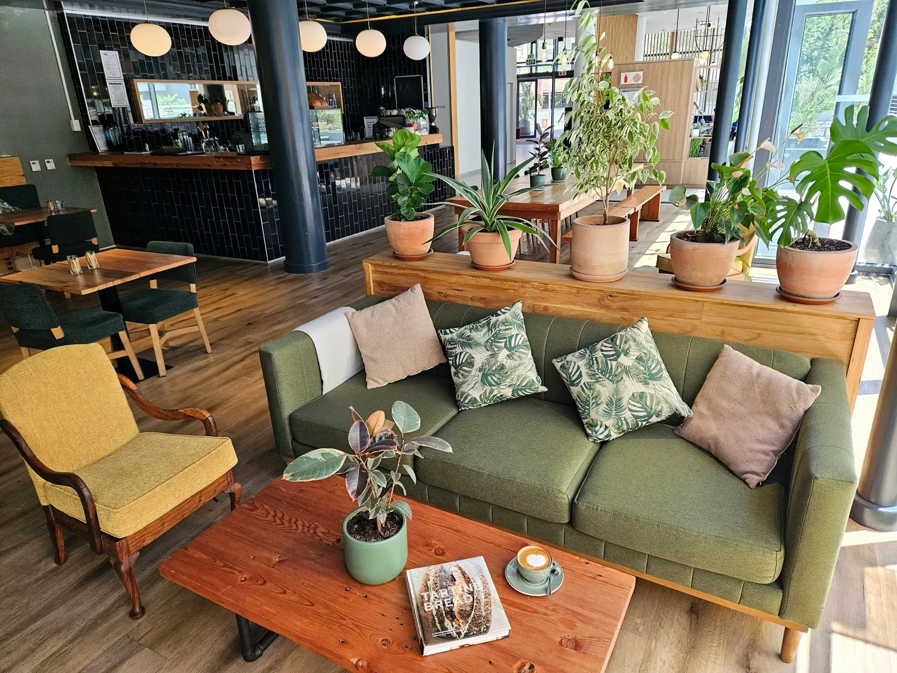 Warm café interior with plants and sofa