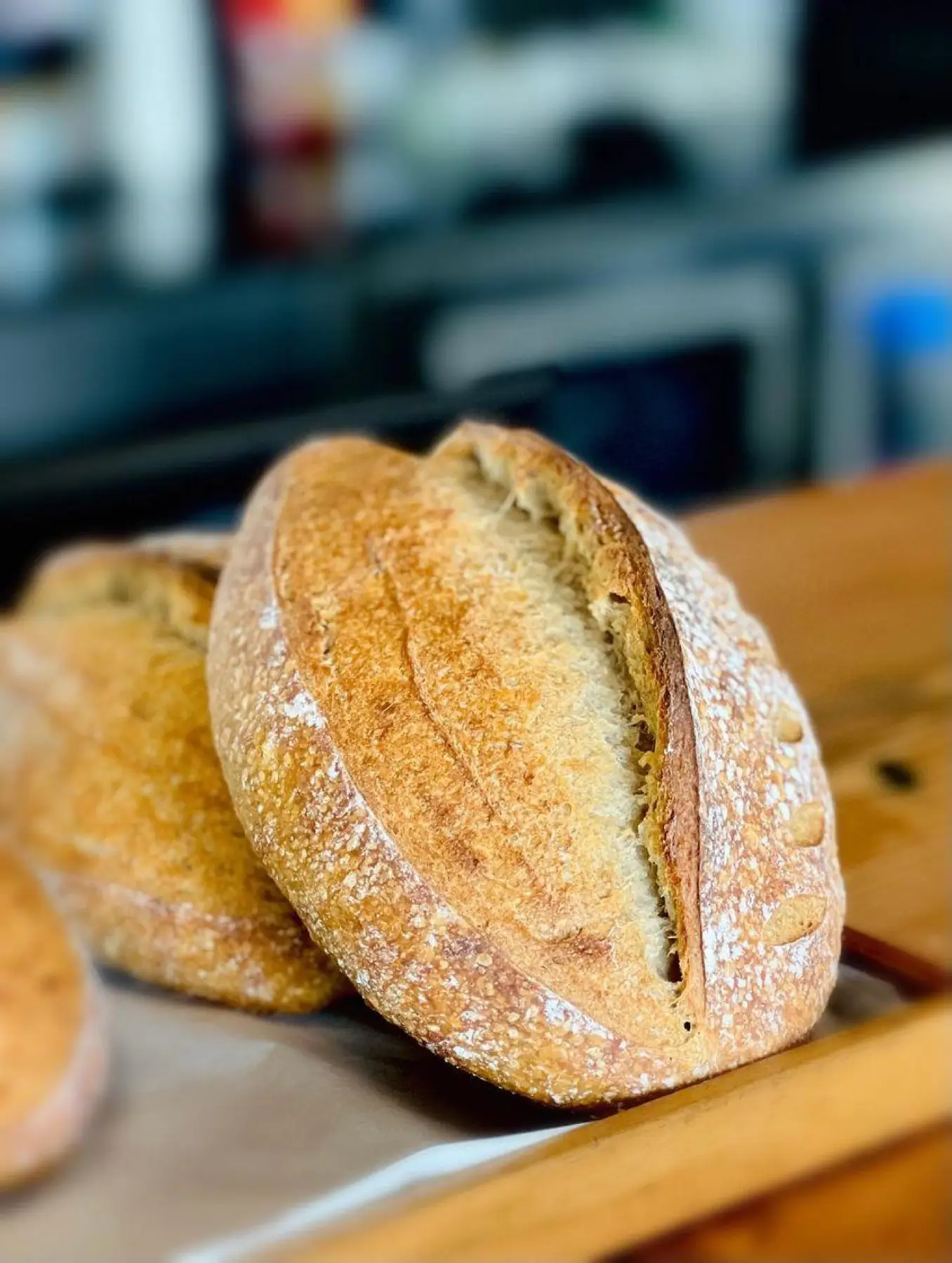 Freshly baked sourdough loaves