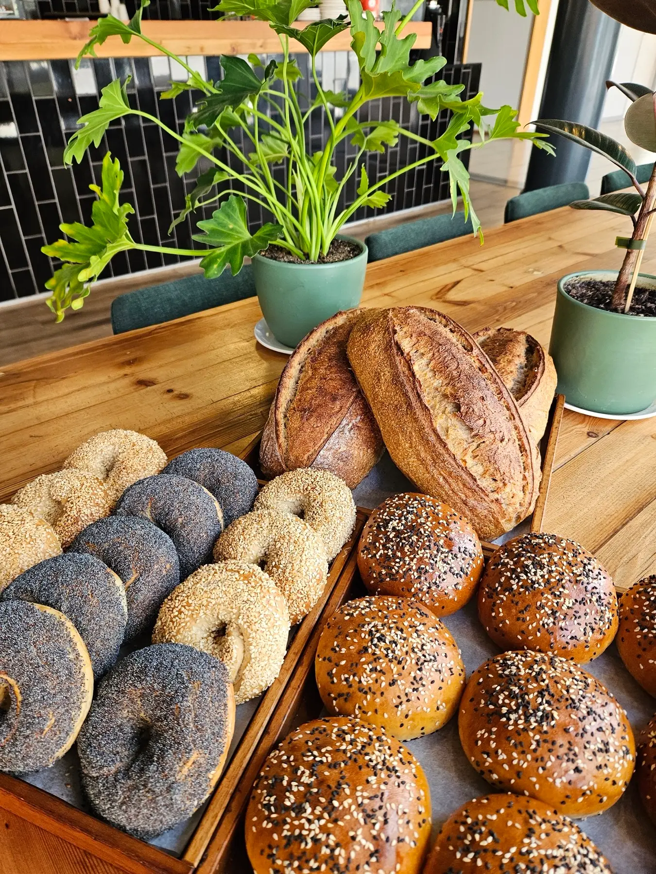 Sourdough loaves, bagels and brioche buns at The Good Neighbour bakery