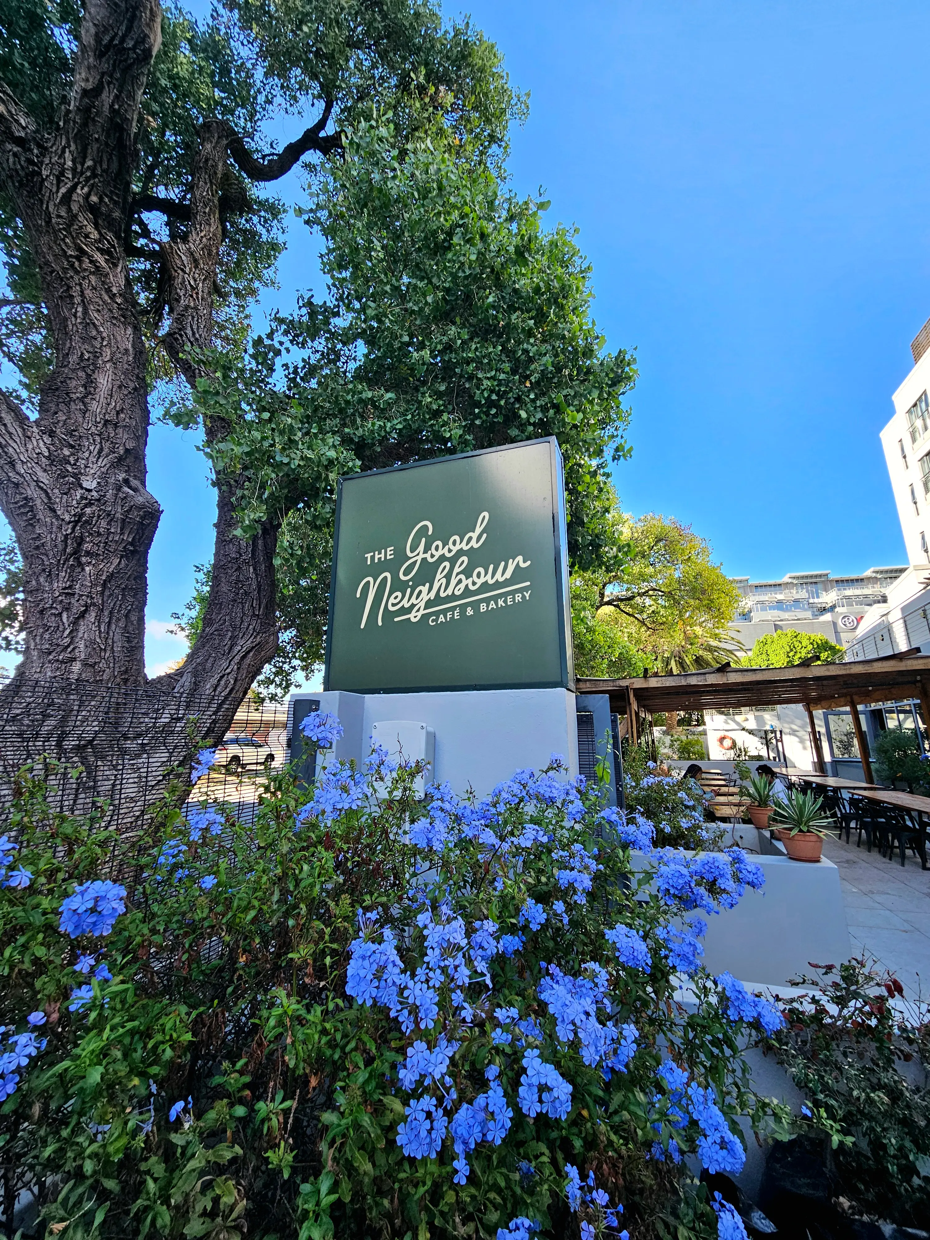 The Good Neighbour sign surrounded by blue plumbago flowers